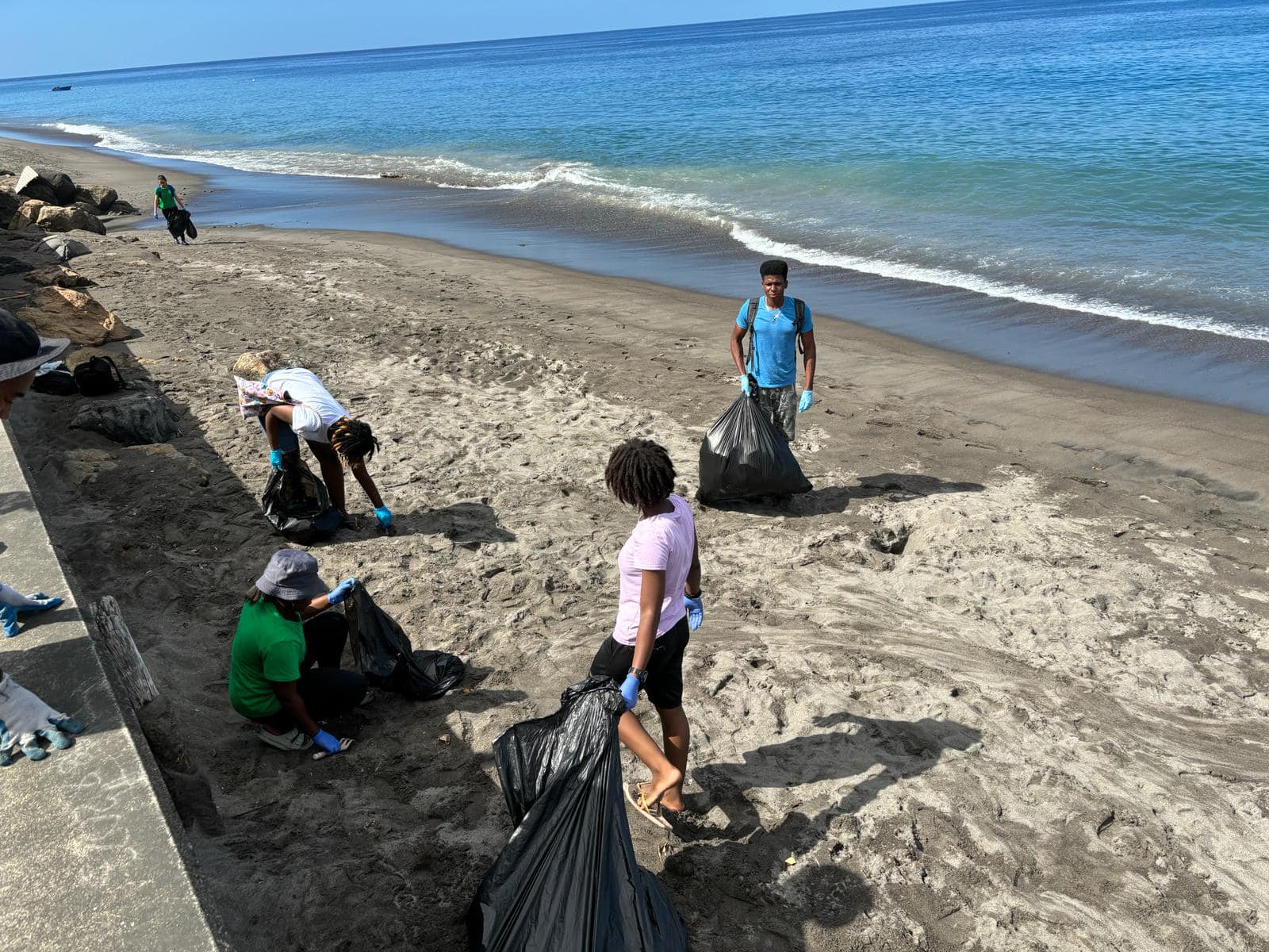 Waitukubuli Advocates for Viable Environment (WAVE), Dominica