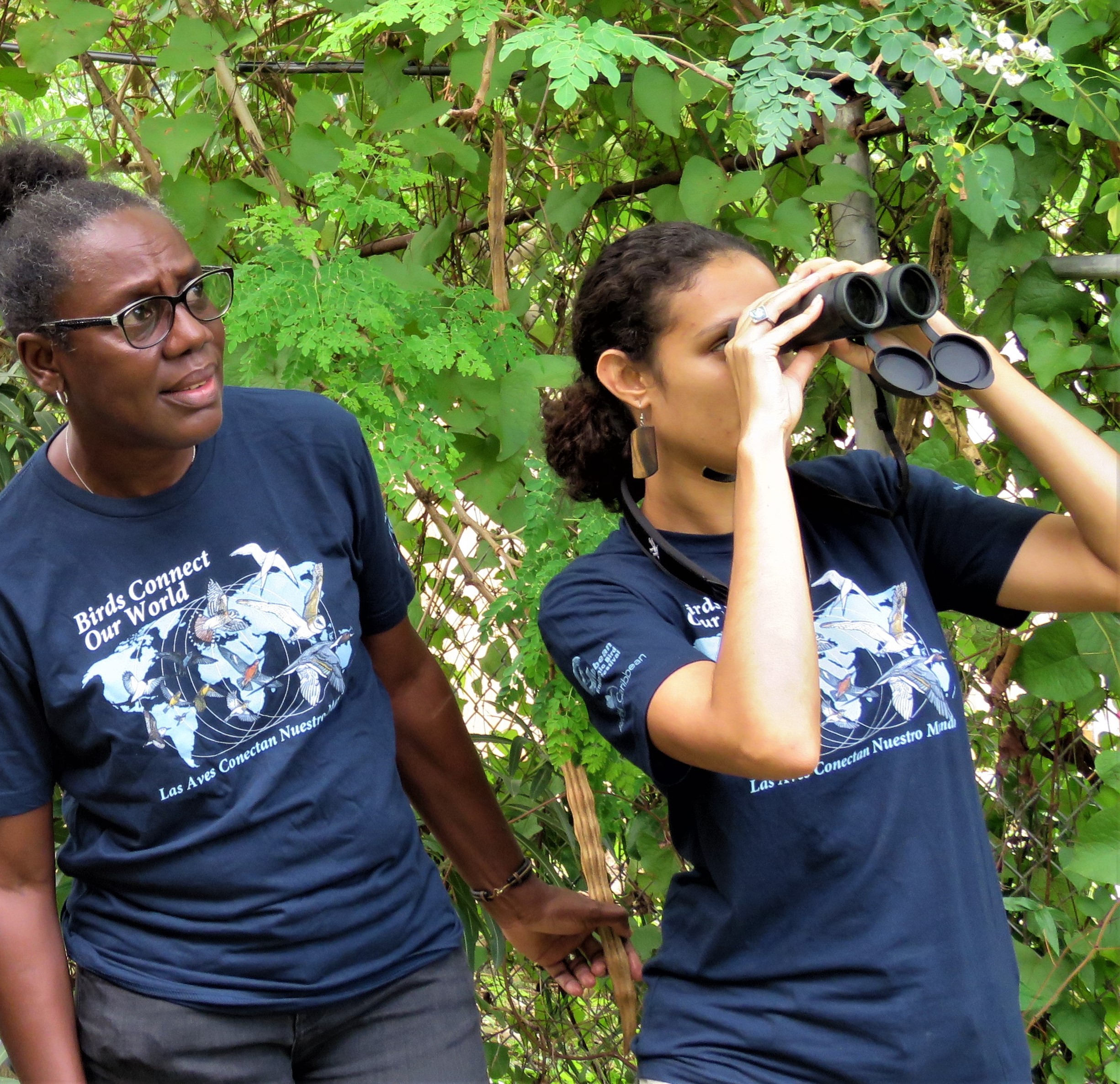 Birding Photo from WildDominique Inc., Dominica