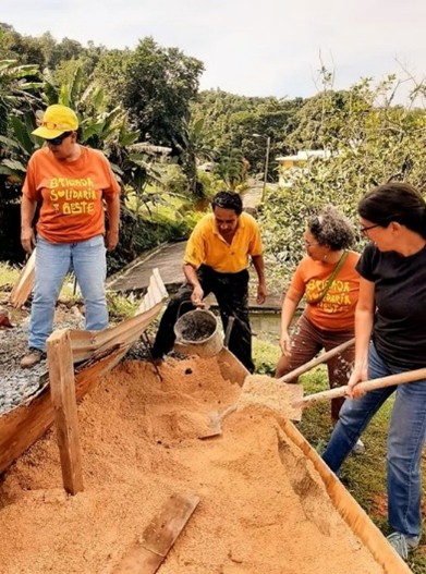 Brigada Solidaria del Oeste, Puerto Rico