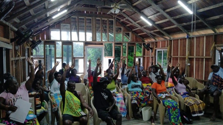 Association of Saamaka Communities, Suriname